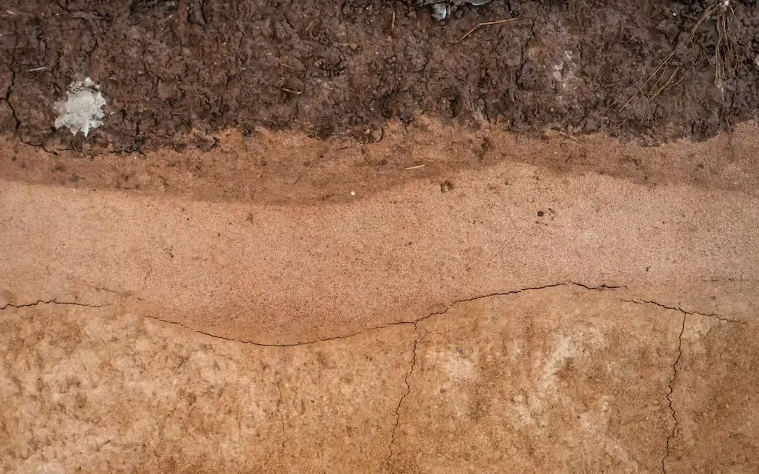 The Impact of Soil Types on Your Foundation