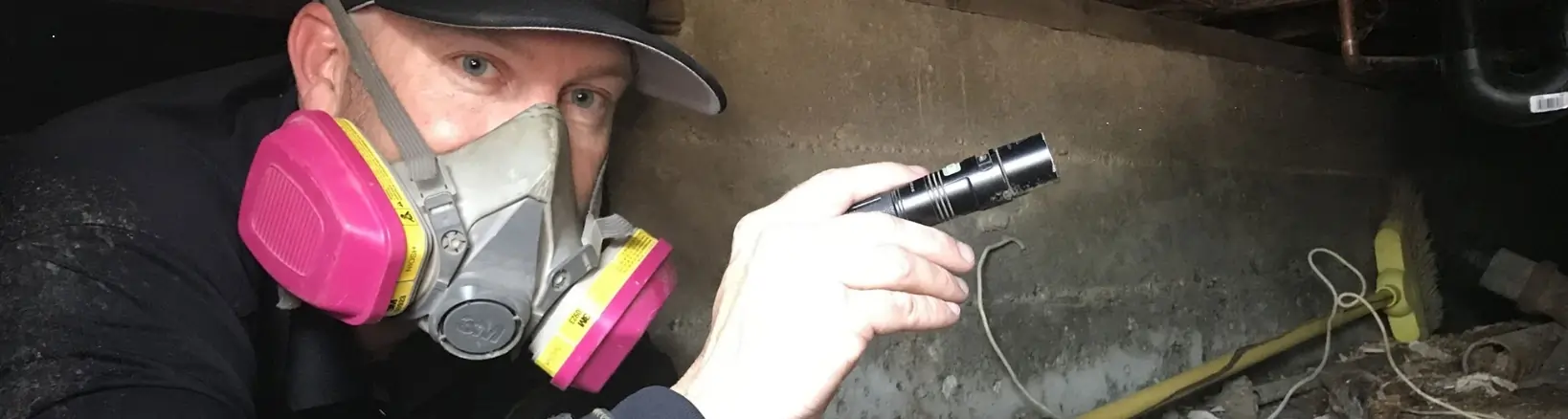 Crawl Space & Basement Inspection Services