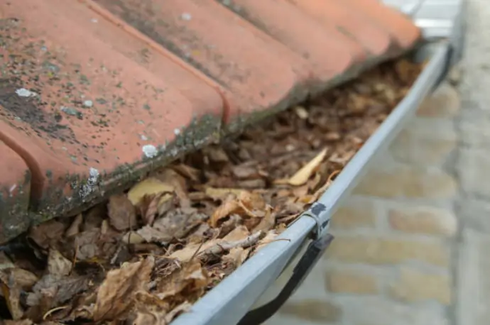clogged gutters